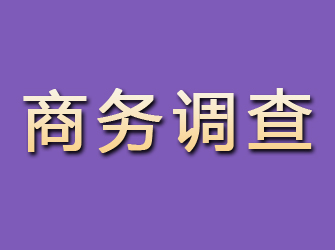 牙克石商务调查